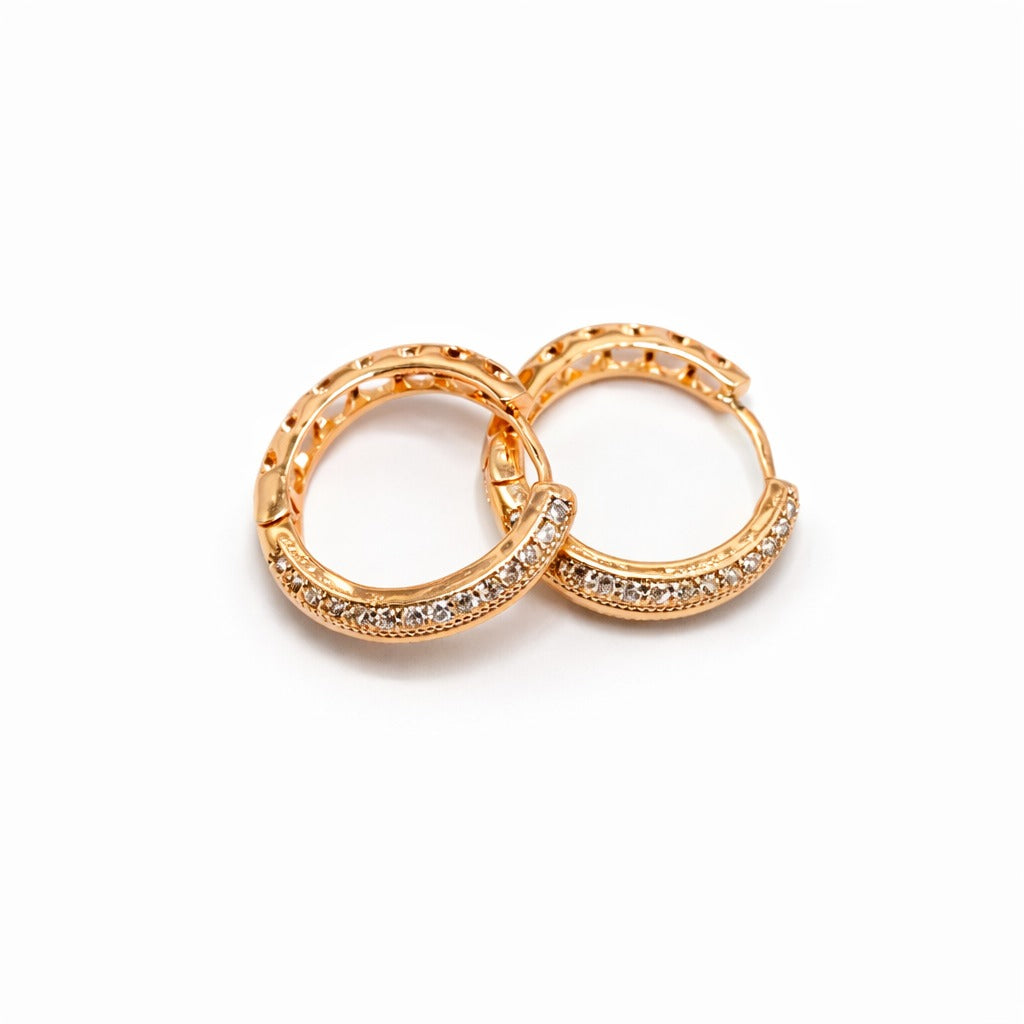 Women Earrings (MF-10)